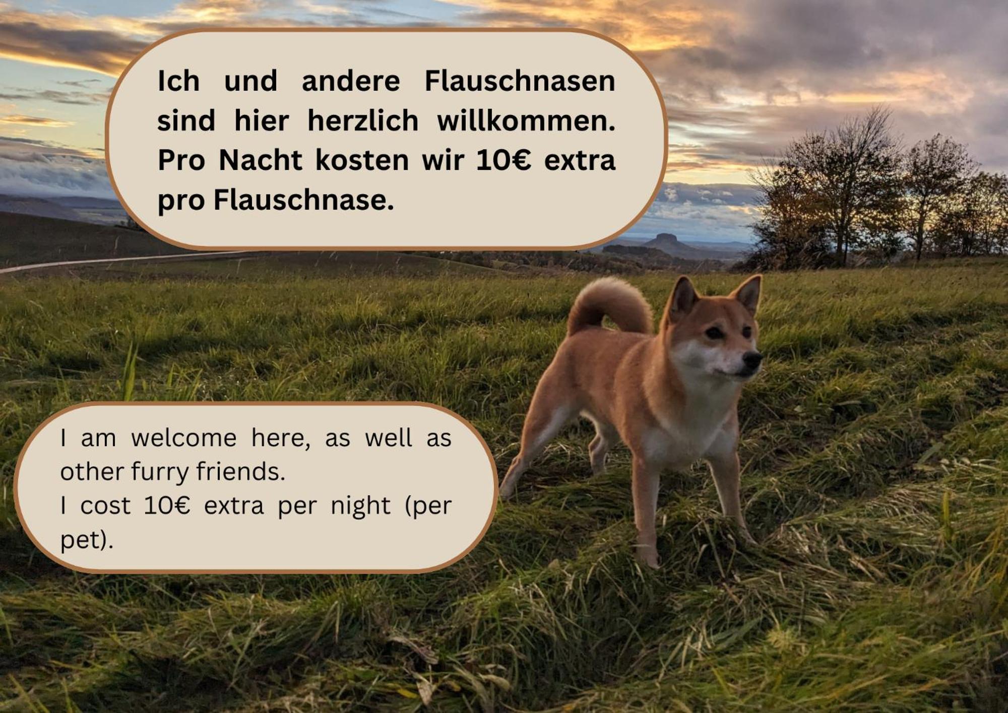 S3 - Urlaubsmagie - Fuer 4P Mitten Im Elbsandsteingebirge เซบนิทซ์ ภายนอก รูปภาพ
